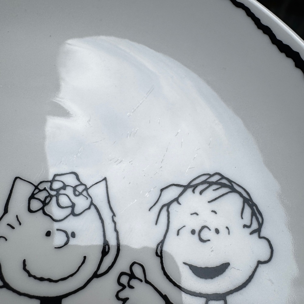 Pottery Barn Peanuts Halloween Plates - Set of 4 - Charlie Brown Snoopy - Picture 6 of 7